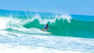 Surfing Festival