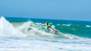 Surfing Festival