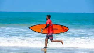 Surfing Festival