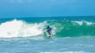Surfing Festival