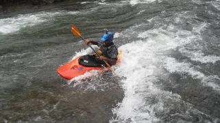 Malabar River Festival
