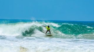 Surfing Festival