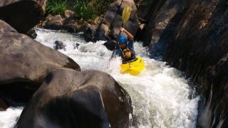 Malabar River Festival
